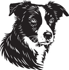 illustration of a new zealand heading dog