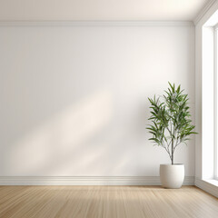 potted plants in a white room.