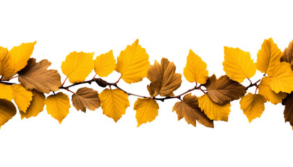 autumn leaves frame isolated on transparent background cutout