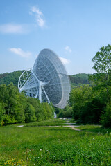 Radio Telescope in the Woods