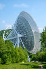 Radio Telescope in the Woods