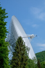 Radio Telescope in the Woods