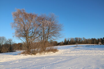 Obraz premium Hügellandschaft mit Lichtung, in der Natur an einem schönen Wintertag mit Schnee im bergischen Land