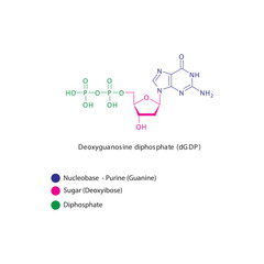 Deoxyguanosine diphosphate (dGDP) skeletal structure schematic illustration, Nucleoside molecule.