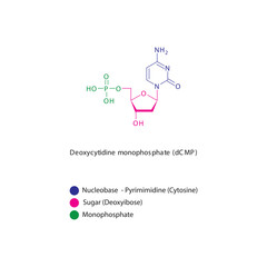 Deoxycytidine monophosphate (dCMP) skeletal structure schematic illustration, Nucleotide molecule.