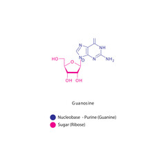 Guanosine skeletal structure schematic illustration, Nucleoside molecule.
