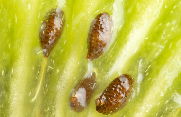 Ripe kiwi with green flesh cut lengthwise with seed detail