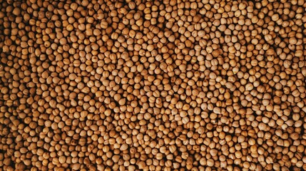 Fototapeta premium Macro close-up of dried raw chickpeas, chickpeas texture surface for wallpaper banner background with copyspace