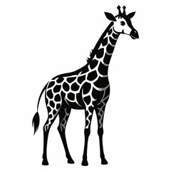 Giraffe Silhouette Vector Illustration
