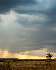 Storm over the Maasai Mara, Kenya, Africa