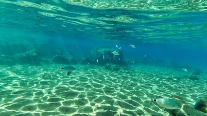 Crete autumn 2023 southern coast underwater world