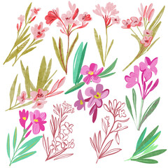 pattern with pink flowers. Set of summer flowers. 