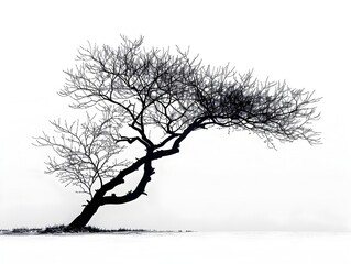Obraz premium Minimalist Line Art of a Tree with Sleek Modern Branches on White Background