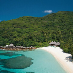 beach with water
