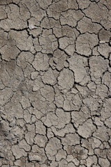 Texture background with dried out brown mud
