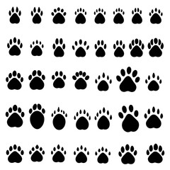 Fototapeta premium Collection of 24 Black Paw Prints on White Background