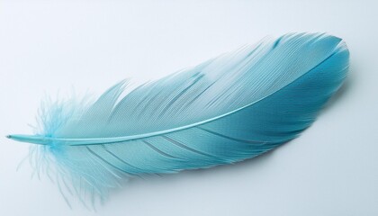 水色の羽（pastel blue feather）
