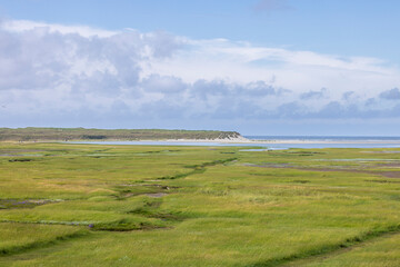 Landscape Nature reserve De Slufter at wadden island Texel in The Netherlands
