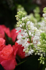 red and white flowers