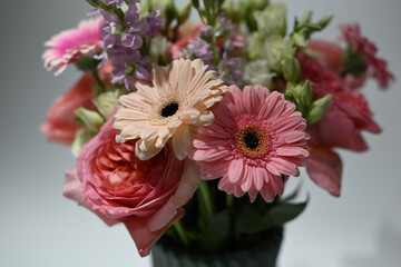 pink gerber flowers in vase