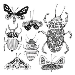 Doodle beautiful beetles and butterflies on a white background.
