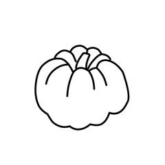 hand drawn pumpkin line icon