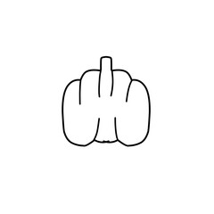 hand drawn pumpkin line icon