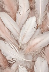 Pastel soft feathers as pattern texture background