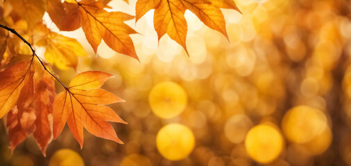 Gradient of Warm Colors with Soft Bokeh Effects Transitioning from Bright Yellow to Deep Orange - Ideal for Banner or Cover Art
