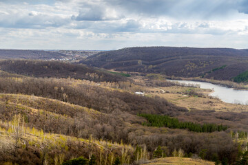 The Russian forest at Samara oblast, Russia, during the cloudy spring day.
