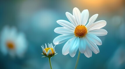a close up of a flower with a blurry background