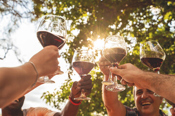Friends toasting wine glasses in sunlit nature, celebration and togetherness concept