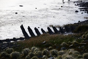 Astoria's Coastal Relic: The Barebones of a Shipwreck