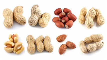 Collection of peanuts, both in shell and shelled, isolated on a white background