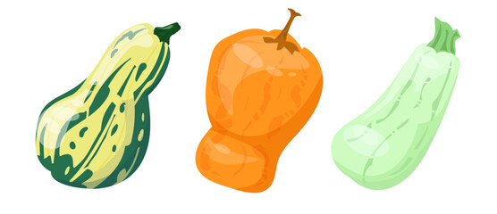Vector colored vegetables set. Salad set of vegetables and greens, Lettuce, tomato, zucchini, avocado, pumpkin, healthy vegan food, summer garden harvest of vegetables, vegetables set in cartoon style