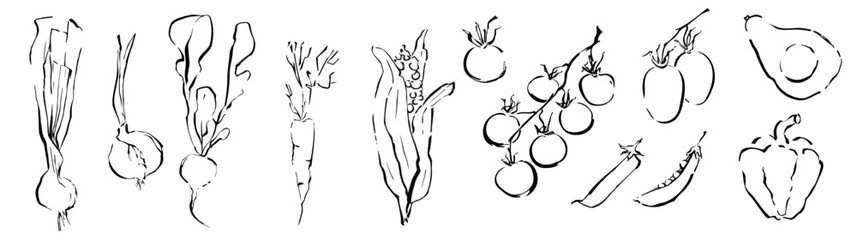Hand-drawn Vegetable line art drawing. World Food, vegetable line art hand drawn doodleб avocado, corn, peas, cherry tomatoes, carrots. Culinary Vector element, Cooking ingresients. 