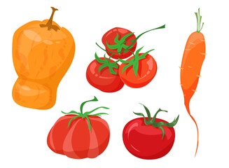 Vector colored vegetables set. Salad set of vegetables and greens, Lettuce, tomato, zucchini, avocado, pumpkin, healthy vegan food, summer garden harvest of vegetables, vegetables set in cartoon style