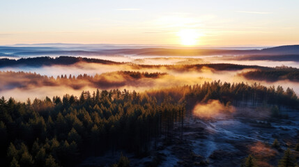 Fototapeta premium generated illustration of beatiful early morning sunrise foggy forest.