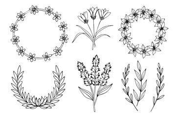 Hand drawn floral frame collection