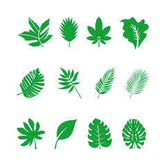 Leaf icons set ecology nature element, green leafs, environment and nature eco sign. Eco, bio, natural, vegan, herbal icon. Flat vector illustrations, isolated on white, transparent background.