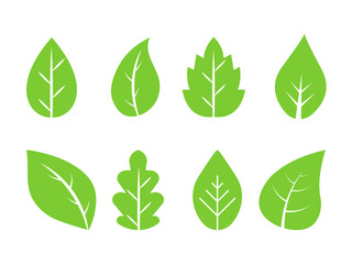 Leaf icons set ecology nature element, green leafs, environment and nature eco sign. Eco, bio, natural, vegan, herbal icon. Flat vector illustrations, isolated on white, transparent background.