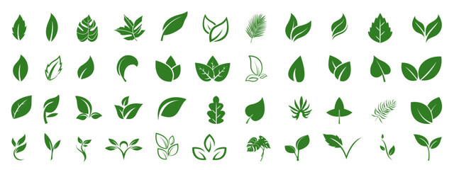 Leaf icons set ecology nature element, green leafs, environment and nature eco sign. Eco, bio, natural, vegan, herbal icon. Flat vector illustrations, isolated on white, transparent background.