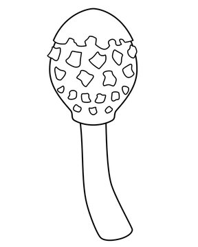 recommend clip art: Parasol mushroom, still unopened Macrolepiota procera - vector linear picture for coloring. Outline. Mushroom variegated umbrella	