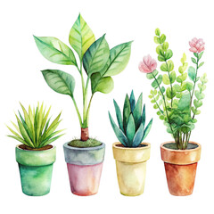 Obraz premium Watercolor Potted House Plants