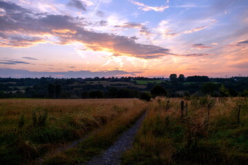 Abenddämmerung über blühenden Feldern zwischen Berg und Tal