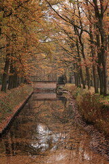 Naklejka premium Betrachtung des Klosters Dinklage im Herbst 