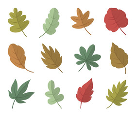 Set of colorful leaves  isolated on white background