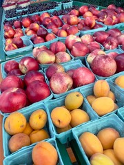 Fresh fruits in baskets at a market stall, featuring peaches, nectarines, and apricots in Michigan