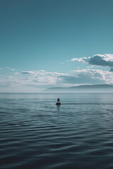 Fototapeta premium a buoy in the lake