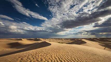 Mexican desert landscape